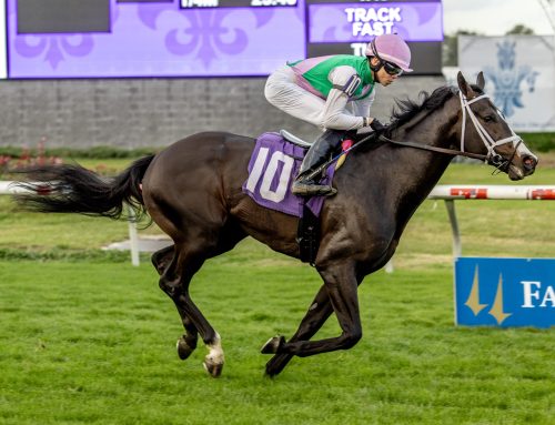 Fair Grounds Barn Notes: Black Gold Stakes Highlights Saturday Card