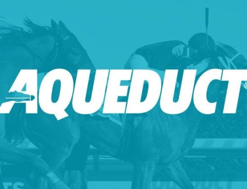 Aqueduct Barn Notes: Balboa Back In the Fray in Saturday’s G3 Gotham Stakes