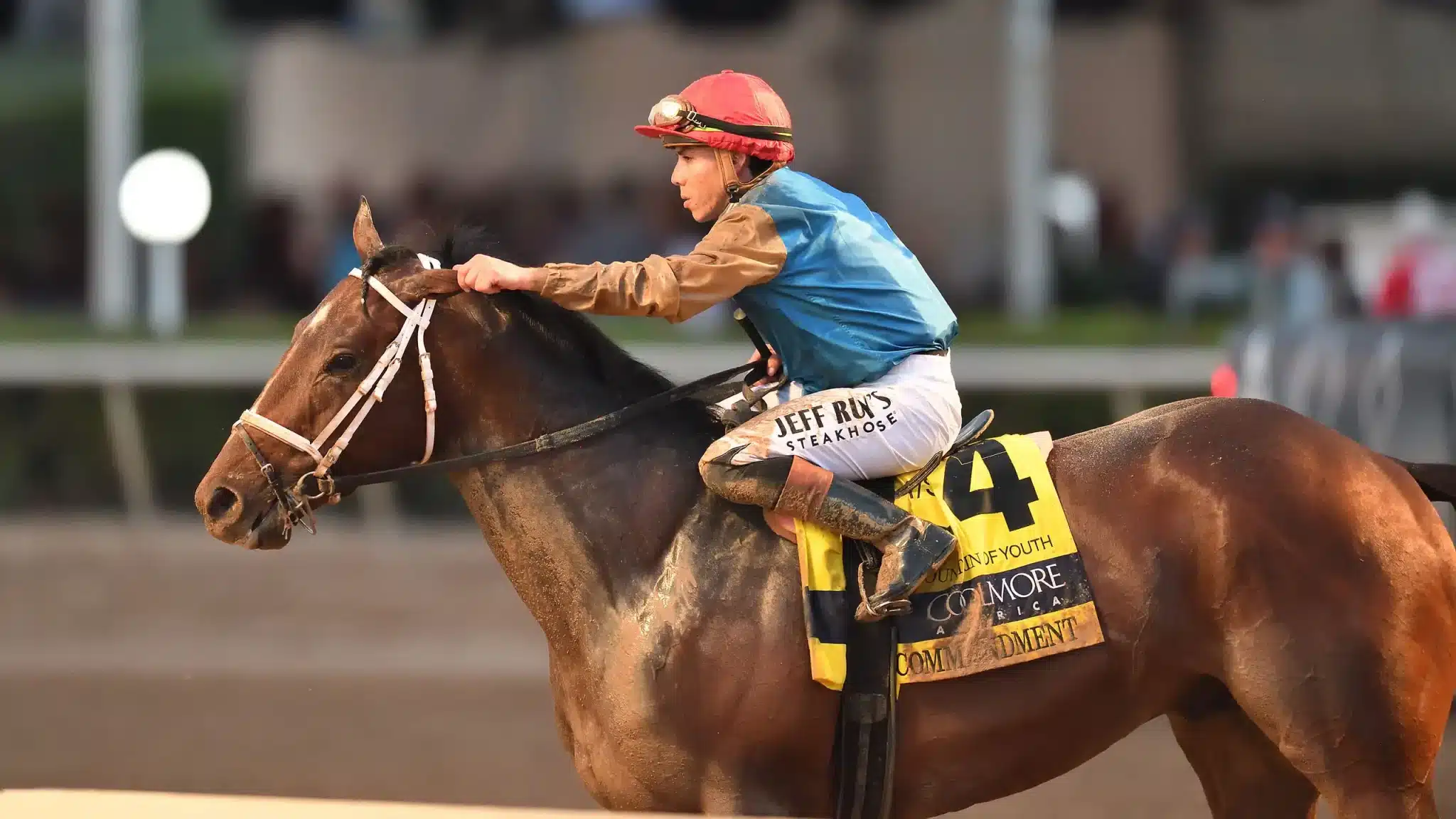 Notes & Quotes From G2 Fountain of Youth Stakes: Commandment - The Pressbox