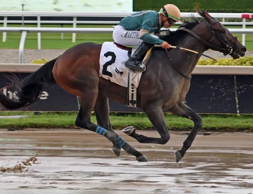 Gulfstream Park Barn Notes: Diciassette Will Try Hutcheson Stakes This Saturday