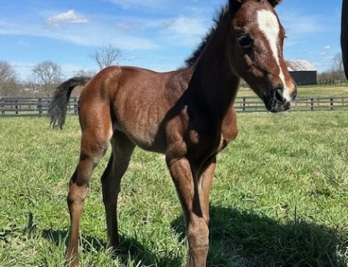 McLean’s Selections for Keeneland on Thursday, April 9