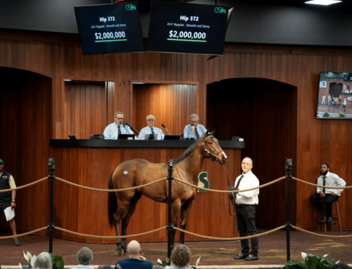 OBS March Sale Report: Nyquist Filly Sells for $2 Million