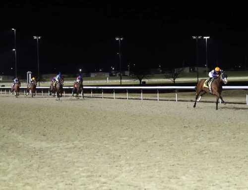 Notes & Photos From Wintergreen Stakes: Literate