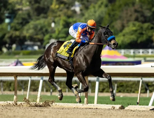 Notes & Quotes From the G1 B. Wayne Hughes Beholder Mile: Splendora