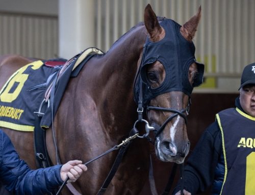 Aqueduct Barn Notes: Iron Honor Returns From G3 Gotham Win In “Great” Shape