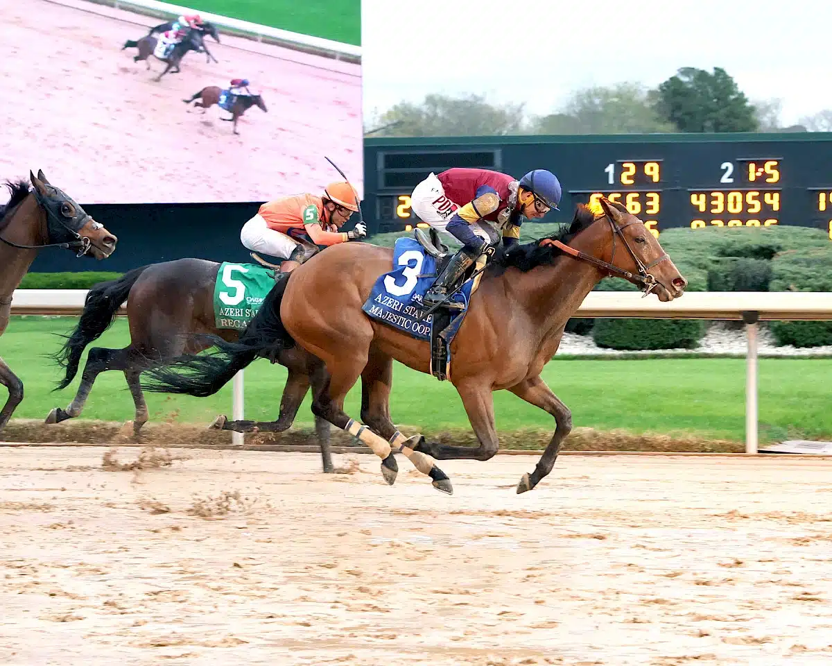 Oaklawn Park Barn Notes: Majestic Oops Impressive in G2 Azeri Stakes
