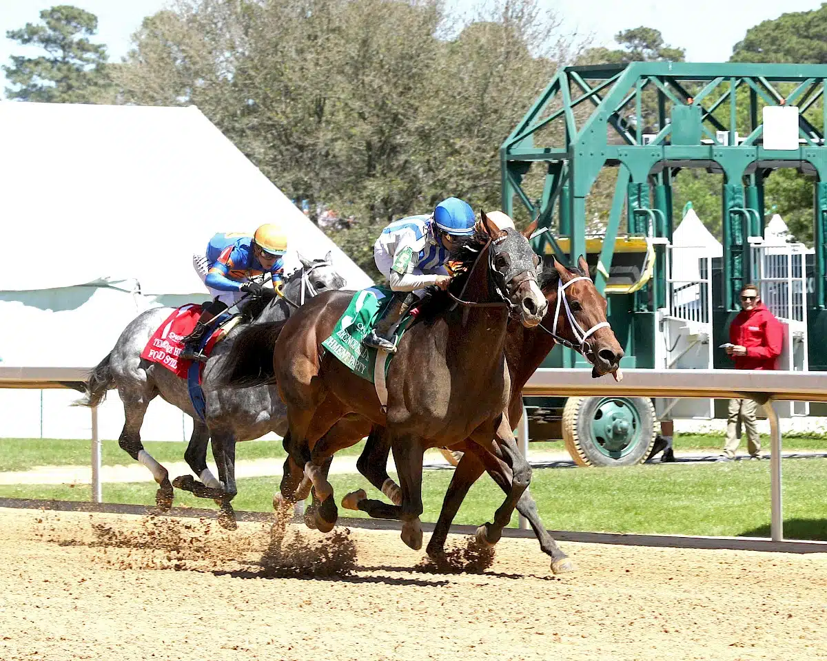 Oaklawn Park Stakes Recaps: Nu What’s New, Parchment Party