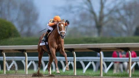 Notes & Quotes From G1 Toyota Blue Grass Stakes: Further Ado