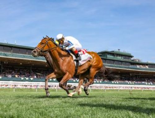 Notes & Quotes From the G3 Limestone Stakes: Slay the Day