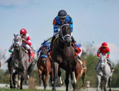 Notes & Quotes From G2 Giant’s Causeway Stakes: In Our Time