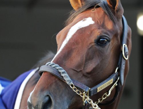 Tuesday, April 21 Kentucky Oaks Photo Album: Through the Eyes & Lens(es) of Coady Media