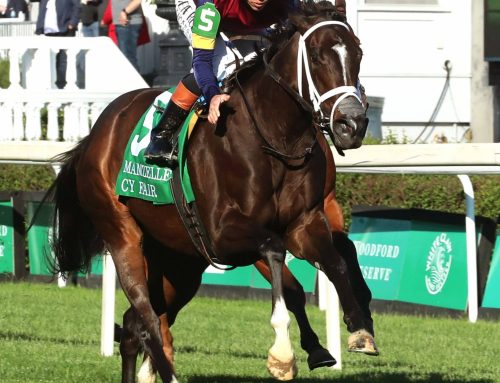 Cy Fair Flares on “Thurby” in Mamzelle Stakes; Other Stakes Winners, Too