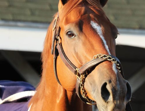 KY HBPA: Kentucky Derby Interviews With Chad Brown, Delgado, Steve Asmussen