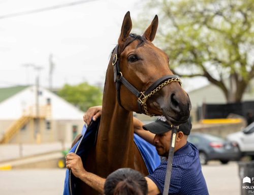 A Weekend Worth of Looks at Churchill Downs & Oaks/Derby Hopefuls: Through the Eyes & Lens of Holly M. Smith