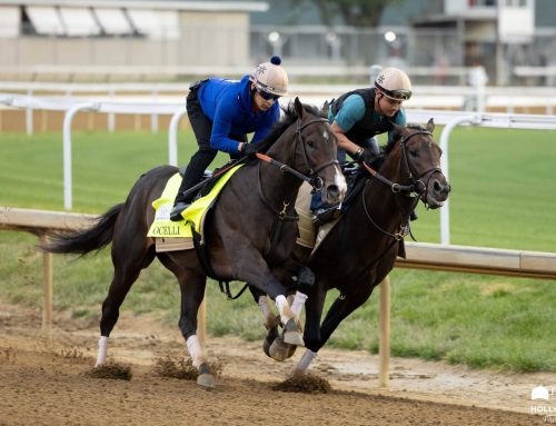 Churchill Downs Barn Notes: KY Derby Alumni Headline 151st Preakness Stakes