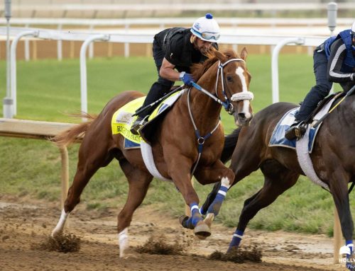 “Road to Kentucky Derby & Oaks:” The Leaderboards