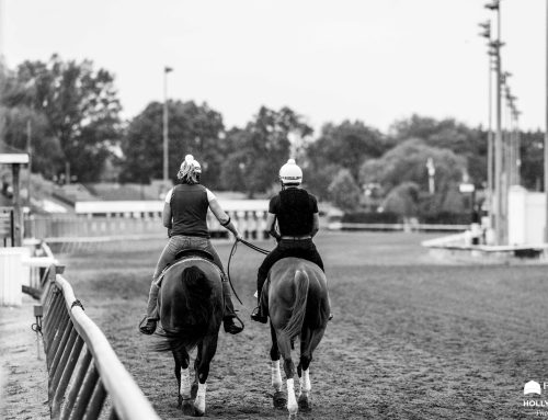 Final Kentucky Derby Rankings by “The Pressbox:” Further Ado Tops the Charts