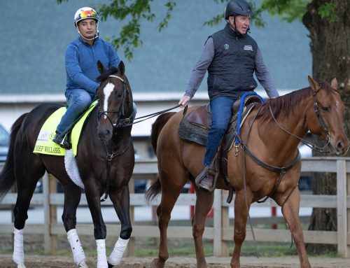 A Fireside Chat With Thoroughbred Writer-Editor Extraordinaire Dan Liebman: An  Insider’s Look at KY Derby, “Dosage Index,” “Breeding Patterns,” & Modern Handicapping Tools