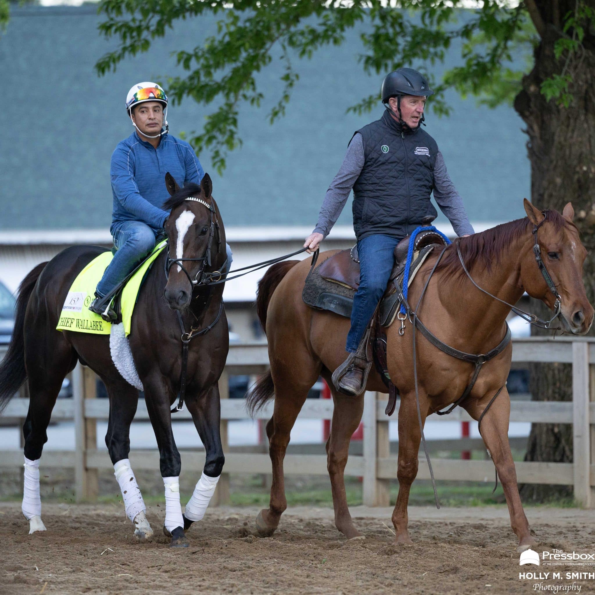 A Fireside Chat With Thoroughbred Writer-Editor Extraordinaire Dan Liebman: An Insider’s Look at KY Derby, “Dosage Index,” “Breeding Patterns,” & Modern Handicapping Tools