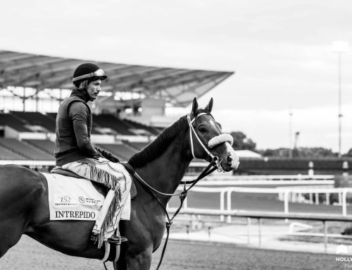 Thursday’s Kentucky Derby / Oaks Photo Album: Thanks to the Lens and Incredible Eye of Holly M. Smith