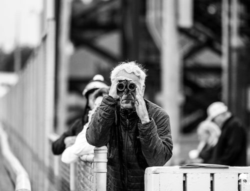 Kentucky Derby / Oaks Photo Album: Through the Incredible Eyes & Lens of Holly M. Smith