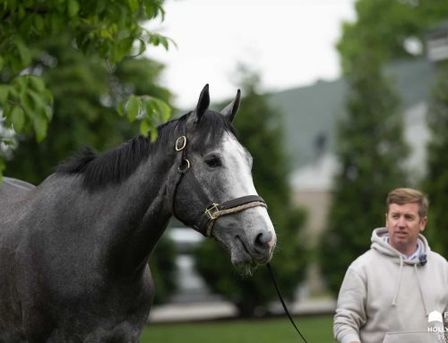Preakness Stakes Notebook: Another Day at “The Park” for Taj Mahal; Great White “Super Kind”