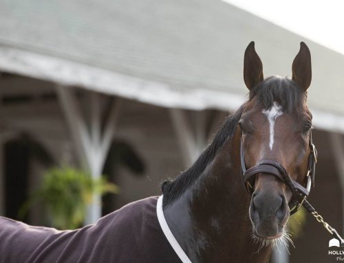 McLean’s Last Ky Derby Rankings: You Should See What I Wrote Before the Race
