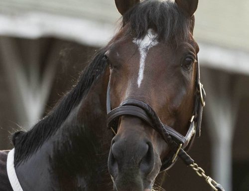 Kentucky Derby / Oaks Photo Album: Through the Eyes & Lens of the Incredible Holly M. Smith