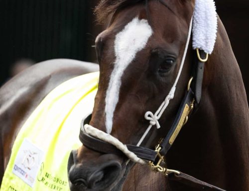 OPINION: A Series of Thoughts About KY Derby 152 — #5 Equipment Changes Are Not A Good Formula For Winning “The Race”