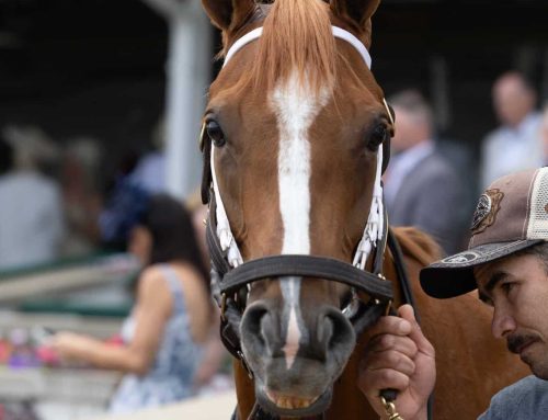Kentucky Derby / Oaks Photo Album: Through the Eyes & Lens of the Incredible Holly M. Smith
