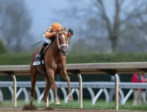 OPINION: Thoughts About This & That & a “Muck Pit” Nominee Tumbles Into the Trough Head First