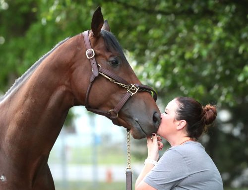 Wednesday’s KY Derby Photo Album: Through the Eyes & Lens(es) of Coady Media