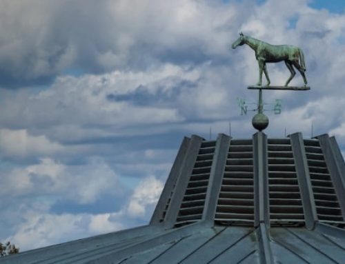 Undefeated Spring Meet Winner Sells at Keeneland April Selected Horses of Racing Age Auction