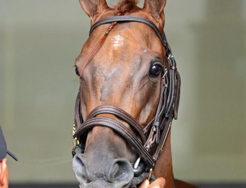 Notes, Quotes & Photos of Keertana Stakes: Ayra Stark (ARG)