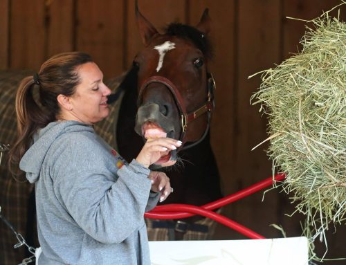 All Things Golden Tempo, Cherrie DeVaux, Jose Ortiz & Kentucky Derby 152