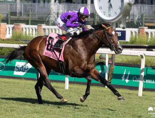 A Day At the Races: Through the Eyes & Lens of the Incredible Holly M. Smith