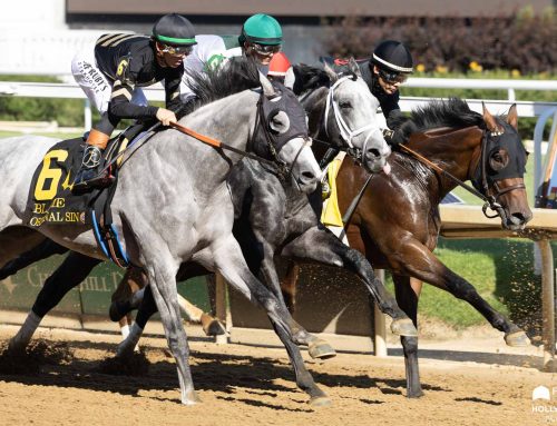 Stephen Foster Preview Day’s Stakes Recaps: Original Sin Captures G3 Blame Stakes & More