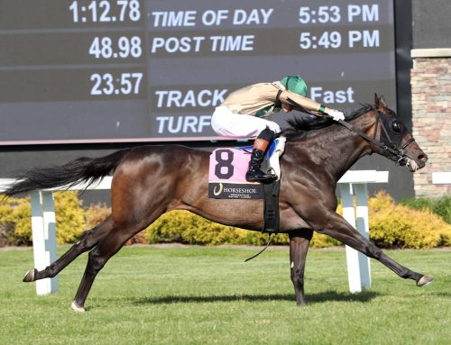 Notes & Quotes From the Cleopatra Stakes: How About Now