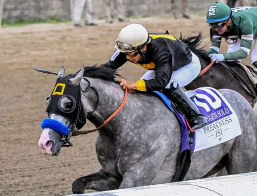 Notes & Quotes From the G1 Preakness Stakes: Napoleon Solo