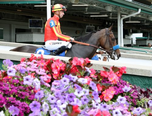 Notes, Quotes & Photos of Leslie’s Lady Stakes: Explora