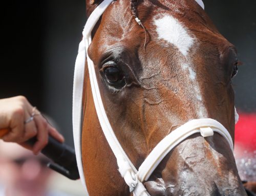Notes, Quotes & Photos From G3 Matt Winn Stakes: Further Ado