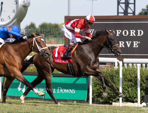 Notes, Quotes & Photos From the Chorleywood Stakes: Burnham Square