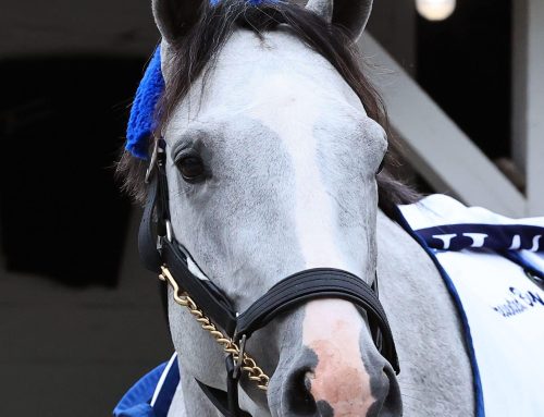 Churchill Downs’ Barn Notes: White Abarrio Gets Last Work for G1 Stephen Foster
