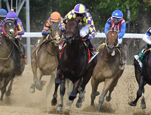Notes & Quotes From G1 Woody Stephens Stakes: Englishman