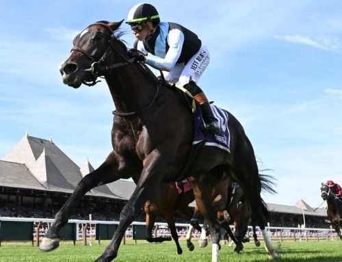 Notes & Quotes From the G2 Intercontinental: Roja