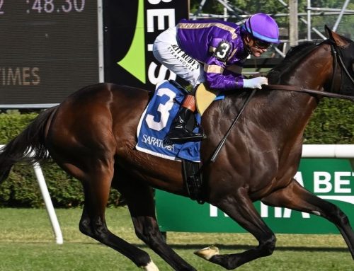Notes & Quotes From the G2 Belmont Gold Cup: Tawny Port