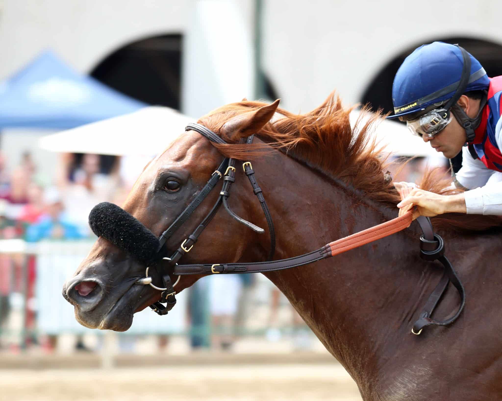 Ellis Park Derby Day: A Recap of All by Kevin Kerstein