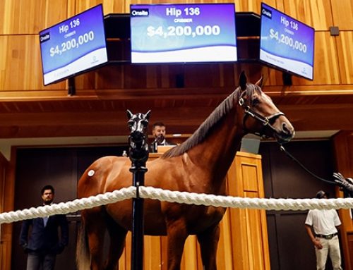 Fasig-Tipton Finishes Record-Breaking Sale at Saratoga