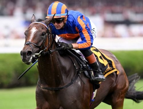 Saratoga Barn Notes: Survie To Test Males in G1 Christophe Clement Turf